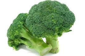 brocoli-1