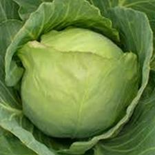 chou-vert