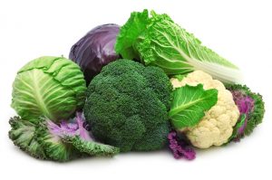 collection cabbages isolated on a white background