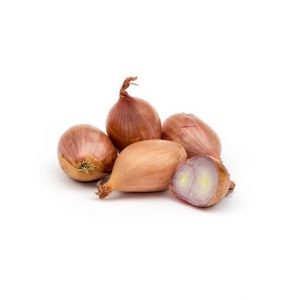 echalote-nouvelle-bio-250g