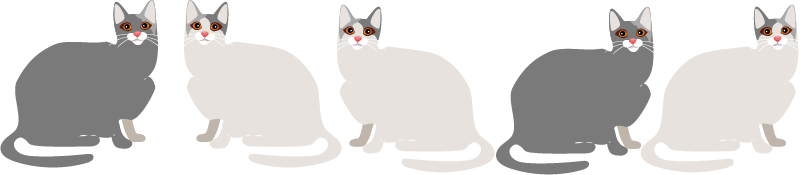 5cats.png