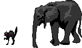 02.gif