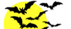 fly.png