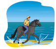 ride.png