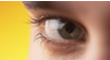 see.png