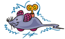 wind.png
