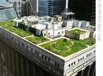 cityofchicago_roof_w_19oct0_0.jpg