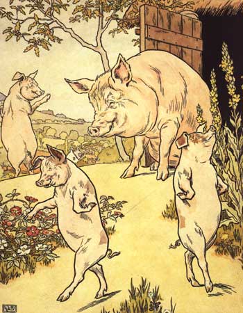 brooke_pigs1.jpg