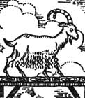 gruff.jpg
